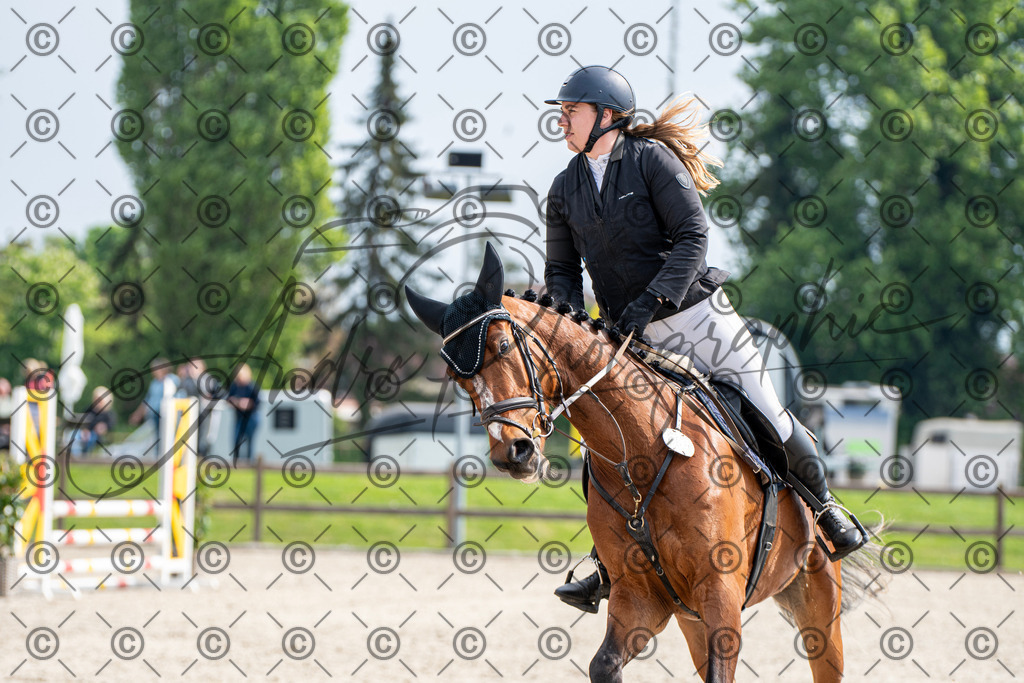 KPT_2492 | andre_photographic