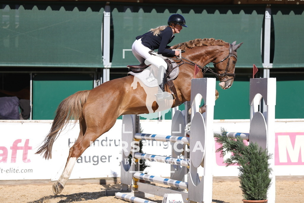 0P6A0348 | Willkommen bei Brunnmayr - Design & Fotografie – Ihrem Spezialisten für Reitturniere und Pferdeveranstaltungen in Oberösterreich, Salzburg und Bayern! Seit über 17 Jahren sind wir leidenschaftlich dabei.