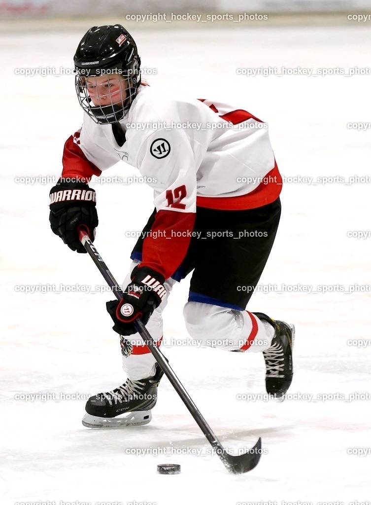 MOWE3953 | hockey sports photos, Pressefotos, Sportfotos, hockey247, win 2day icehockeyleague, Handball Austria, Floorball Austria, ÖVV, Kärntner Eishockeyverband, KEHV, KFV, Kärntner Fussballverband, Österreichischer Volleyballverband, Alps Hockey League, ÖFB, 