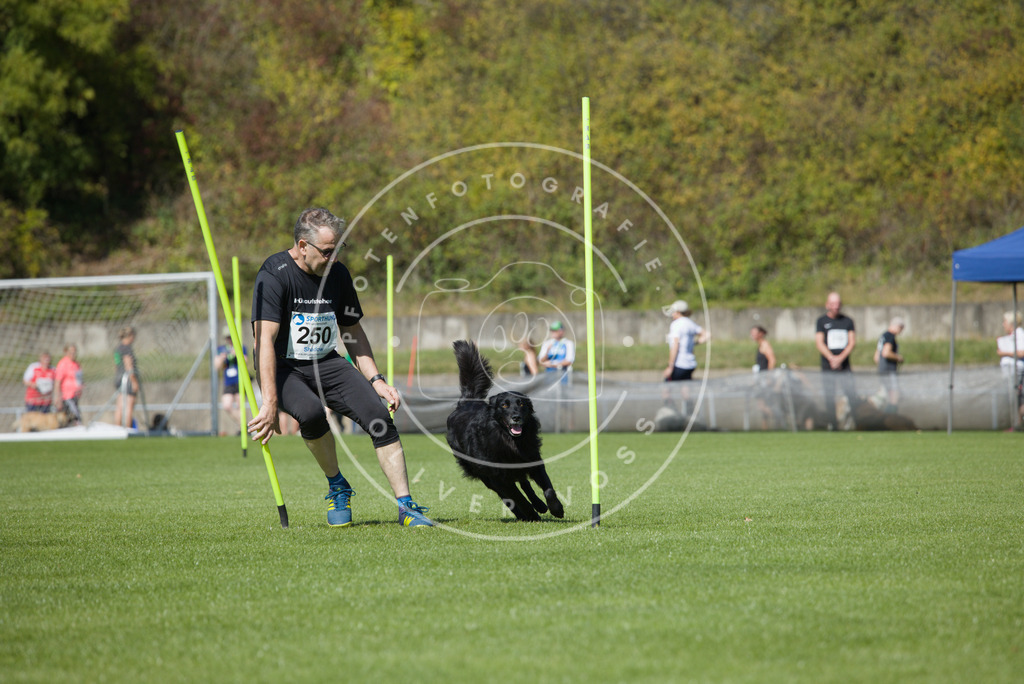 0L8A6294 | Hundefotografie, Tierfotograf, Pfotenfotografie, Fotoshooting Hund, Hunde Portrait, Hundesport, Hundeportraits, Heideshooting, Hunde, Sportfotograf, Hundefotograf, Turnierhundsport, THS,  - Realisiert mit Pictrs.com