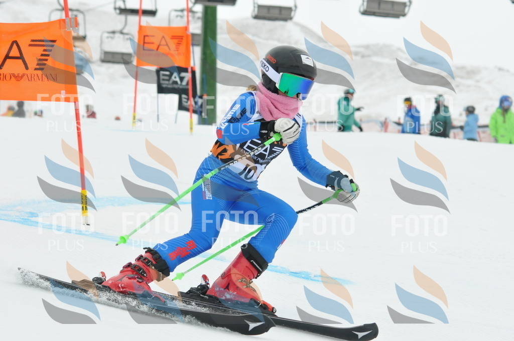 DSC_8790 | holidayphoto