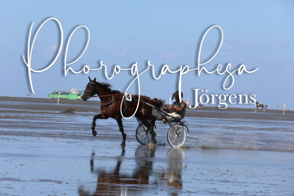 IMG_0216 | photographesa-joergens - Realisiert mit Pictrs.com