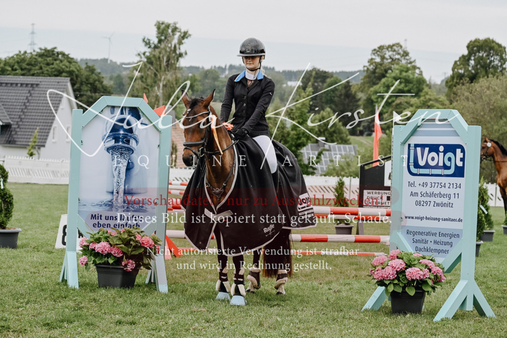 DSC_7097 | Pferde- und Turnierfotografie in Westsachsen. Pferdeportraits, Auftragszeichnungen und intuitive Kunst.