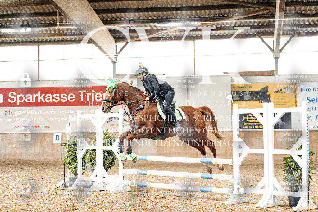 CK905449 | Turnierfotografie Pferdefotografie Trier Rheinland-Pfalz Pferdesport Reitsport Tierfotografie Sportfotografie Pferdevideo Pferdevideografie Equestrianvideography equestrianphotography  - Realisiert mit Pictrs.com