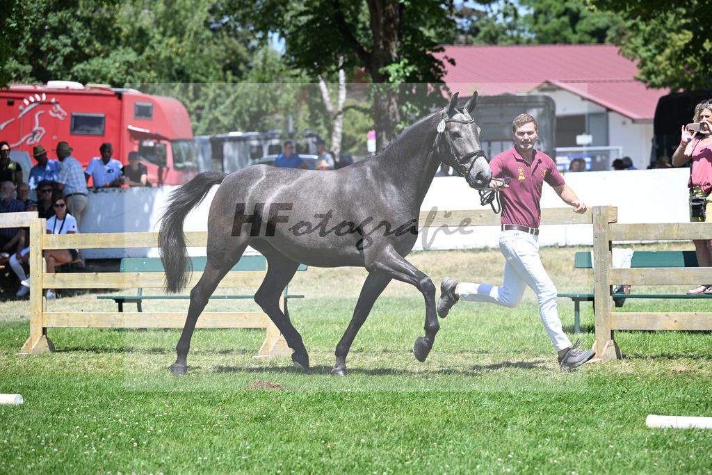 Kat-Nr. 20 Nischa F v. Vigaro_Fischer_19250451 | hf-fotografie - Realizzato con Pictrs.com