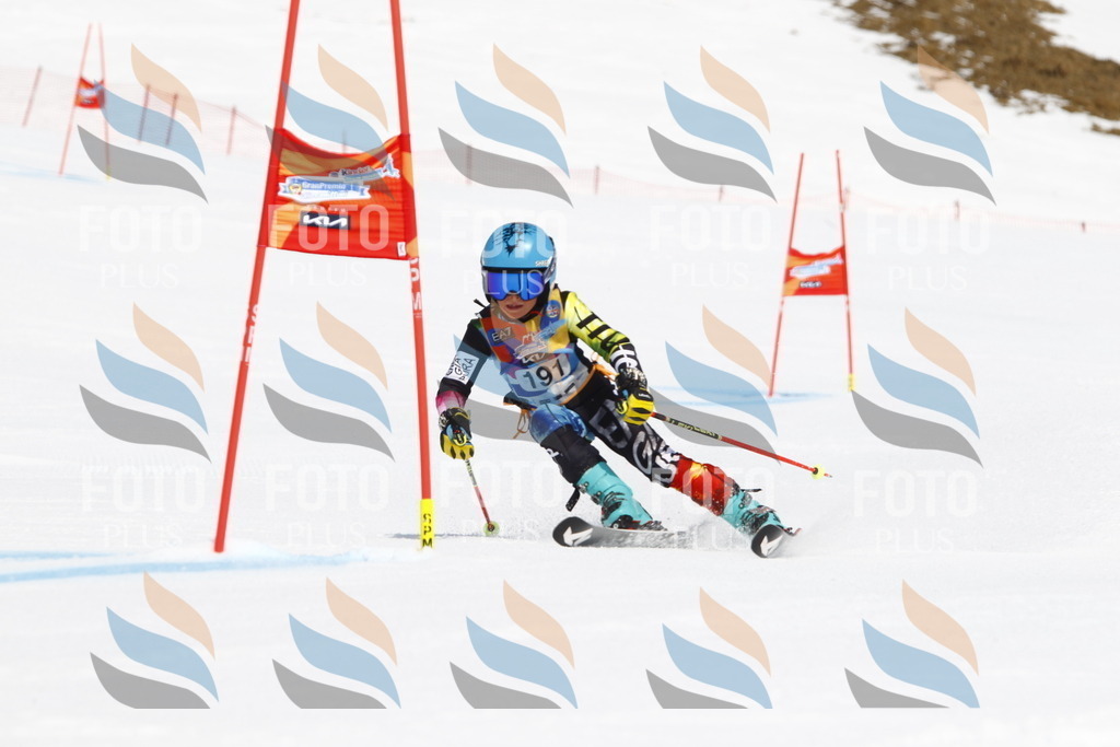 _U3G5014 | holidayphoto