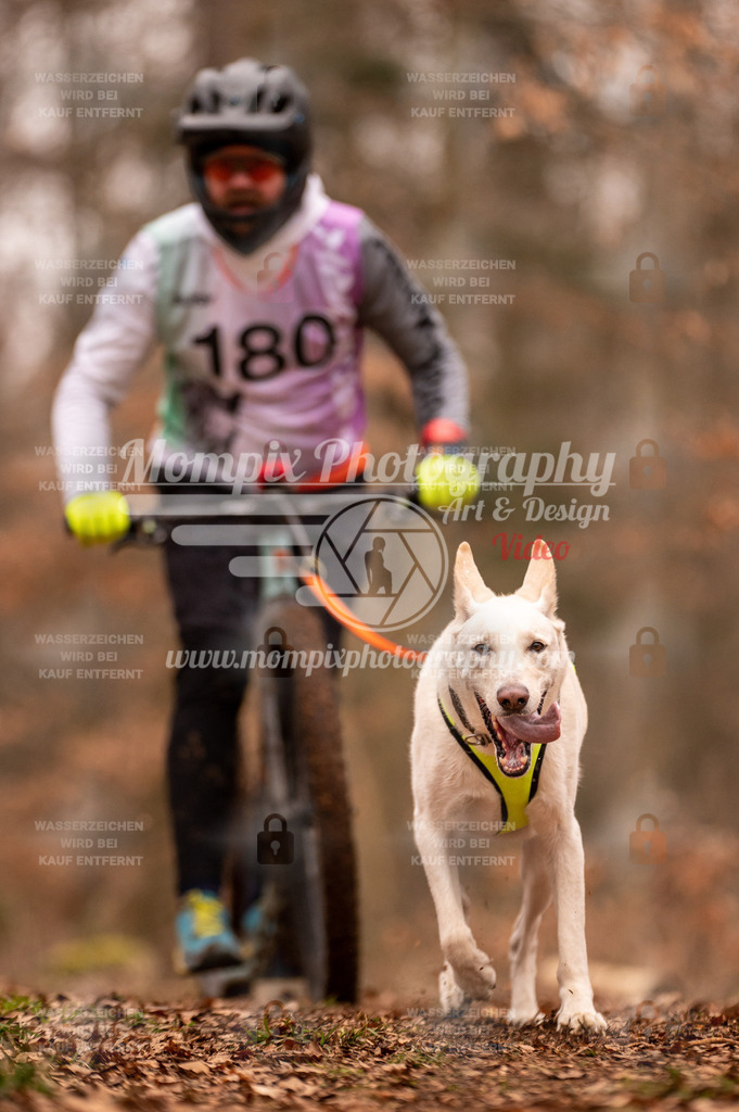 AKM_ST_2023_SAM_Scooter-57 | PayLife