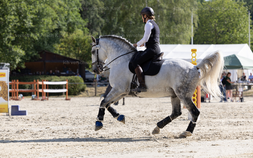 WS_SPEED_11_KerstinBernhardt-6 | working equitationturnier fotograf videograf stoibphotography marixx film working equitation deutschland reitsport turnierfotografie eventfotografie equestrian events