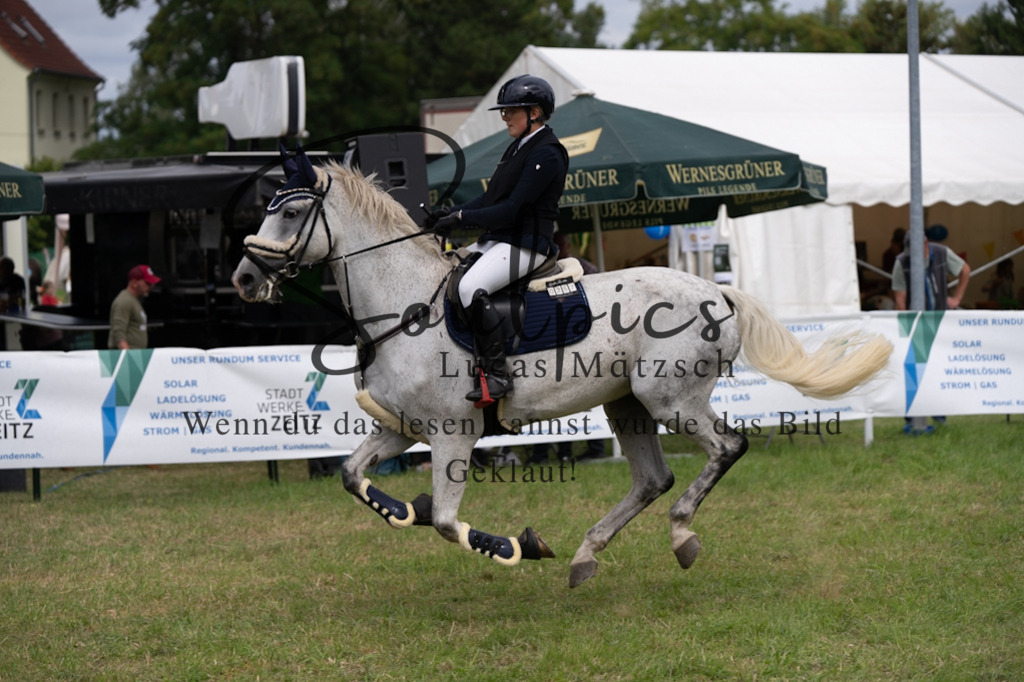 A7V05540 | Pferdefotograf