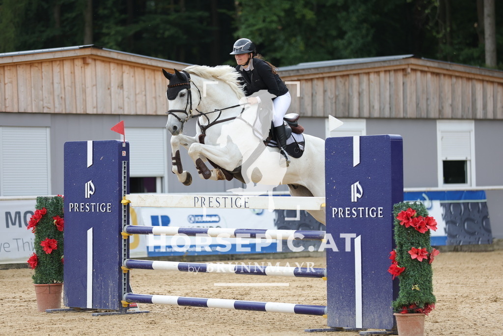 0P6A6581 | Willkommen bei Brunnmayr - Design & Fotografie – Ihrem Spezialisten für Reitturniere und Pferdeveranstaltungen in Oberösterreich, Salzburg und Bayern! Seit über 17 Jahren sind wir leidenschaftlich dabei.