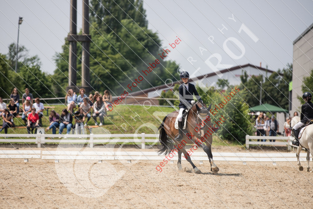 IMG_3851 | Sport-, Event- und Tierfotos in Profiqualität. Einfach auswählen, bestellen und herunterladen. Dein Moment – perfekt festgehalten.