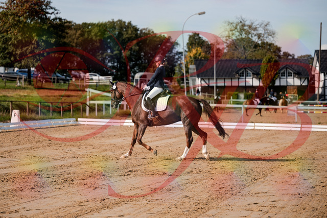 2026_10_03_Siefer-Hof_114730_Z63_26564912 | Professionelle Reitsport-, Turnier- und Eventfotografie von Robert Broda. Galerien mit ausgewählten und bearbeiteten Bildern direkt online ansehen und bestellen.