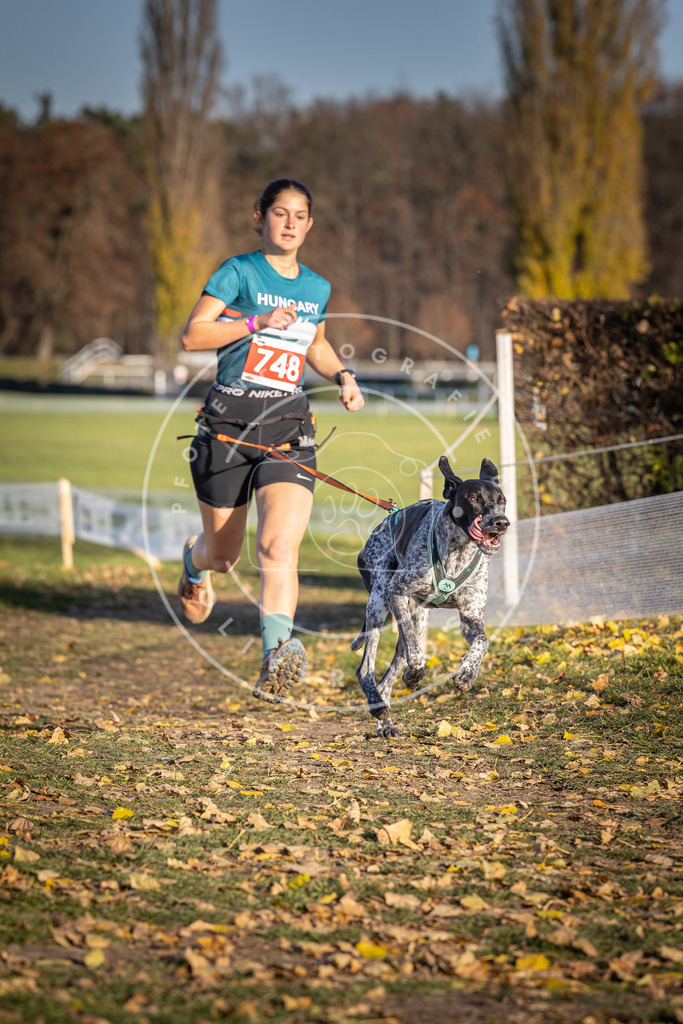 CaniXpix_DV3A2363 | Hundefotografie, Tierfotograf, Pfotenfotografie, Fotoshooting Hund, Hunde Portrait, Hundesport, Hundeportraits, Heideshooting, Hunde, Sportfotograf, Hundefotograf, Turnierhundsport, THS,  - Realisiert mit Pictrs.com