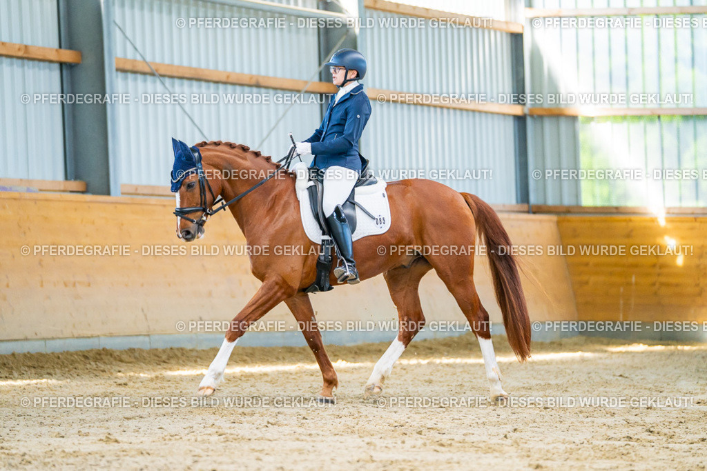 DSC06456 | Pferdegrafie