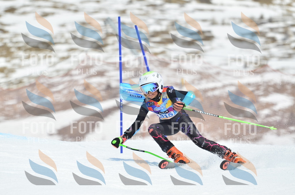 _ELE2374 | holidayphoto