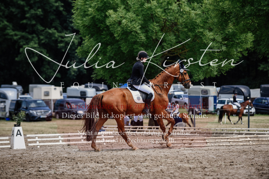 DSC_1587 | Pferde- und Turnierfotografie in Westsachsen. Pferdeportraits, Auftragszeichnungen und intuitive Kunst.