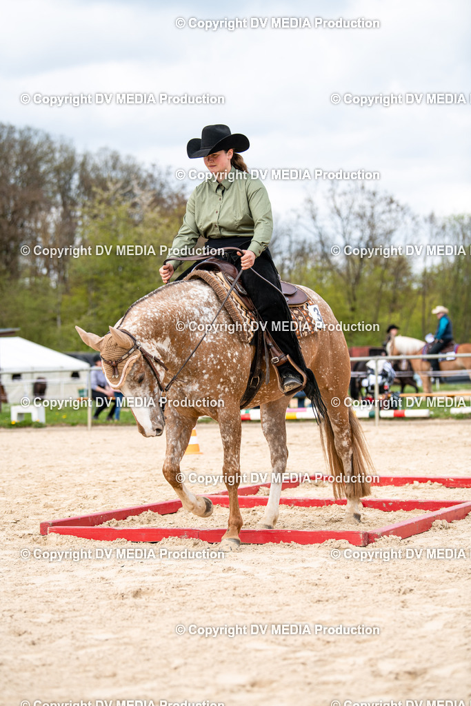 Heiligenwald Tag 1-794 | dv-media-shop - Realisiert mit Pictrs.com