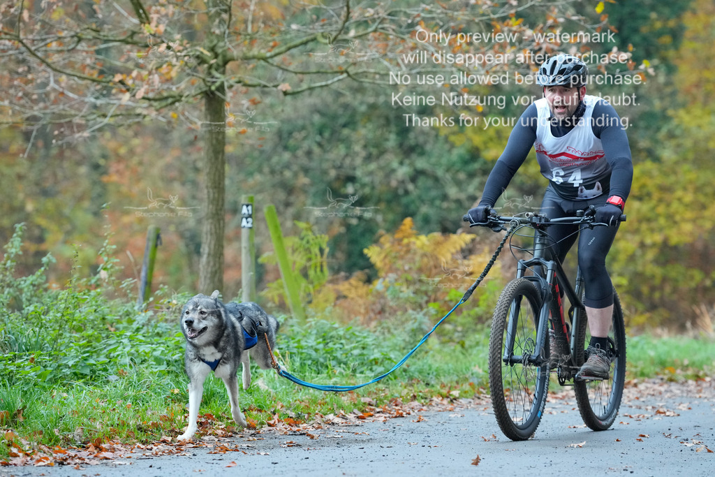 Bike_So-98 | stephaniefillaphotographie - Realisiert mit Pictrs.com