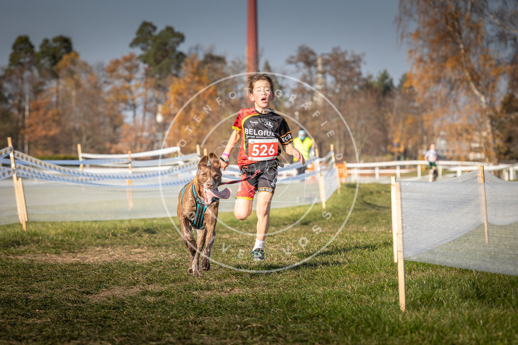 CaniXpix_0L8A8837 | Hundefotografie, Tierfotograf, Pfotenfotografie, Fotoshooting Hund, Hunde Portrait, Hundesport, Hundeportraits, Heideshooting, Hunde, Sportfotograf, Hundefotograf, Turnierhundsport, THS,  - Realisiert mit Pictrs.com