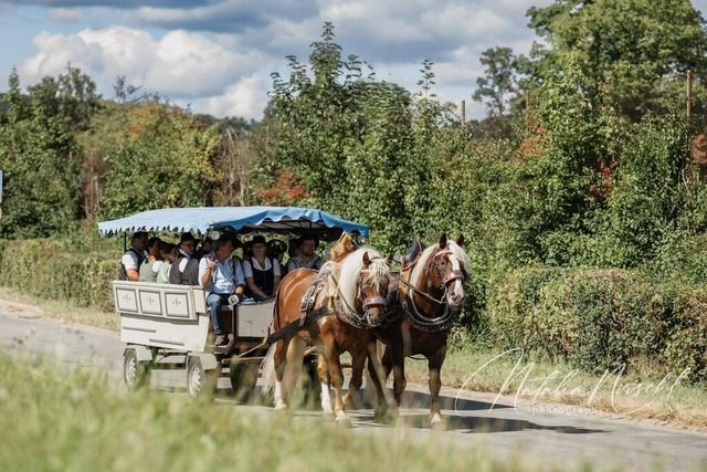 7V6A2002 | natalia-nirschl-photography