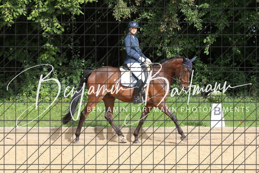 AZ2A2010 | Benjamin Bartmann Photomoments