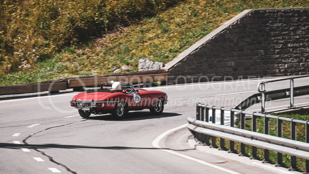 19. Arosa ClassicCar 2023 - 2. September 2023 | 19. Arosa ClassicCar 2023
Arosa, Schweiz
Kane William Robin aus Exeter mit der Startnummer 239 in einem Jaguar E Type Series 2, Jahrgang 1969, in der Klasse Classic Trophy.
@arosaclassiccar, @arosa.official, #arosaclassiccar, #arosa, #76curves, #classiccar
Bild: Sportfotografie Markus Aeschimann | www.markus-aeschimann.ch - Realisiert mit Pictrs.com