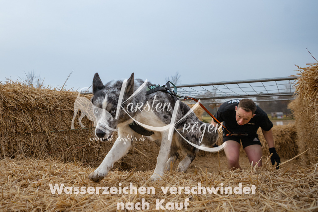 0814_ZZ92273 | kk-dogfotos