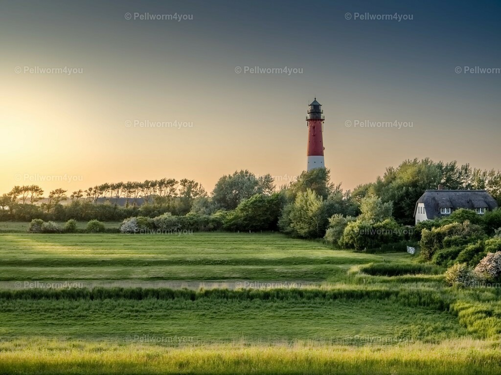 pellworm-kalender-2024-24-denoise-enhance-2x-sharpen | Pellwormer Bilder und Fotos als Poster, auf Leinwand mit Keilrahmen, hinter Acrylglas, auf Alu-Dibond oder Forex-Platte und vieles mehr. Zum verschenken, für die Ferienwohnung oder für zu Hause. - Realisiert mit Pictrs.com