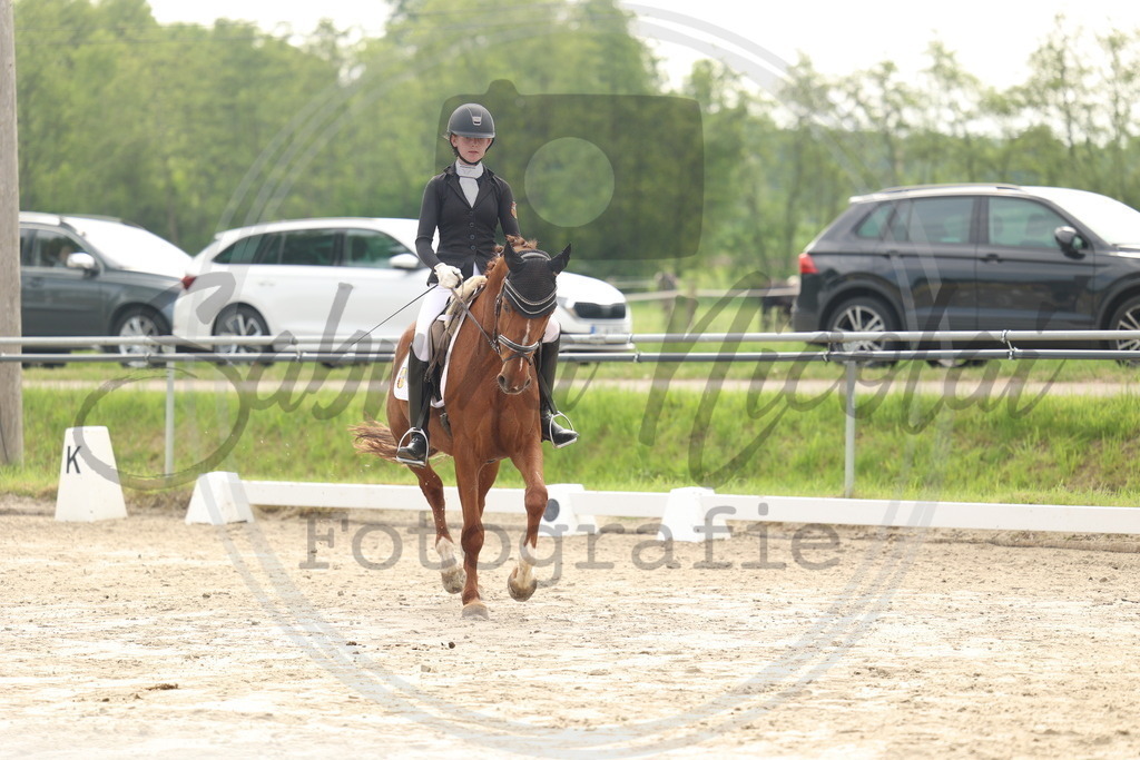 994A6254 | sabrinanicolaifotografie - Realisiert mit Pictrs.com