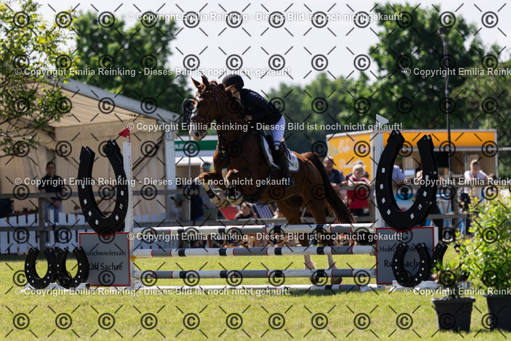 CL5A0916 | Emilia Reinking Fotografie - Realisiert mit Pictrs.com