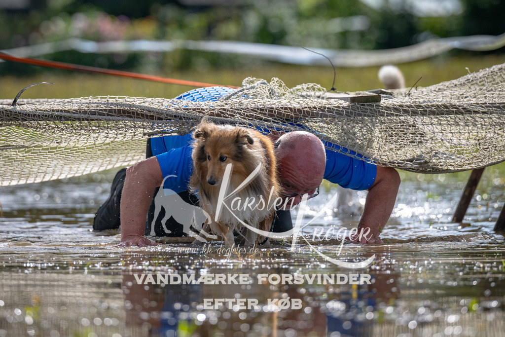 1341_ZZ90619 | kk-dogfotos