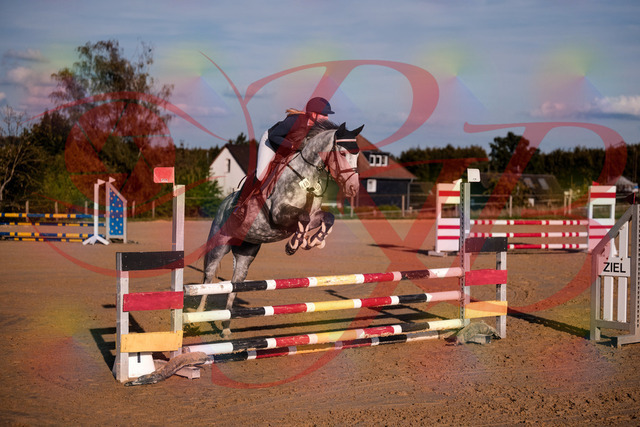2026_10_03_Siefer-Hof_171341_Z81_10608199 | Professionelle Reitsport-, Turnier- und Eventfotografie von Robert Broda. Galerien mit ausgewählten und bearbeiteten Bildern direkt online ansehen und bestellen.