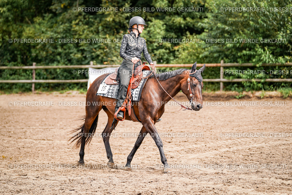 DSC04782 | Pferdegrafie