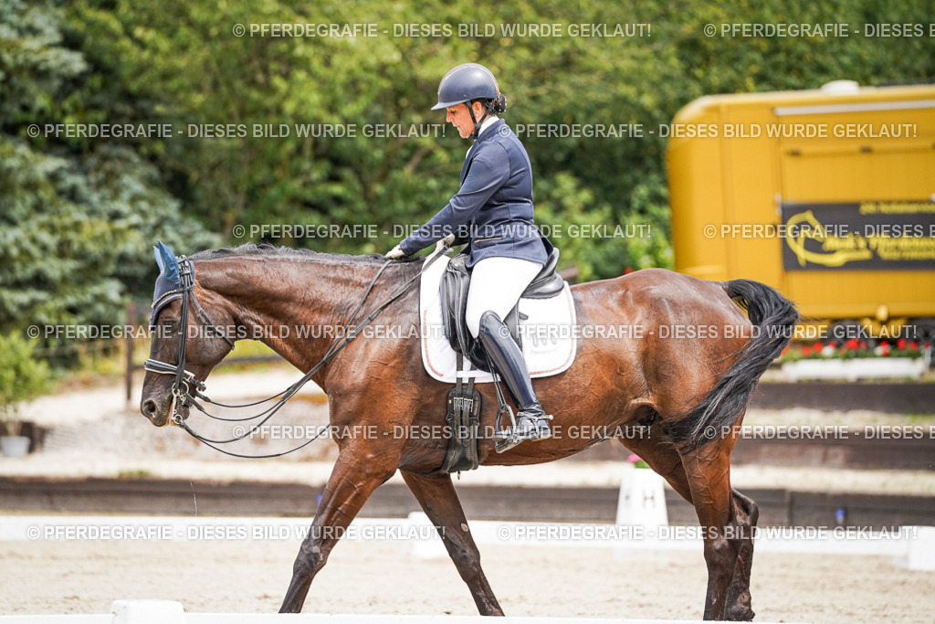 DSC05495 | Pferdegrafie