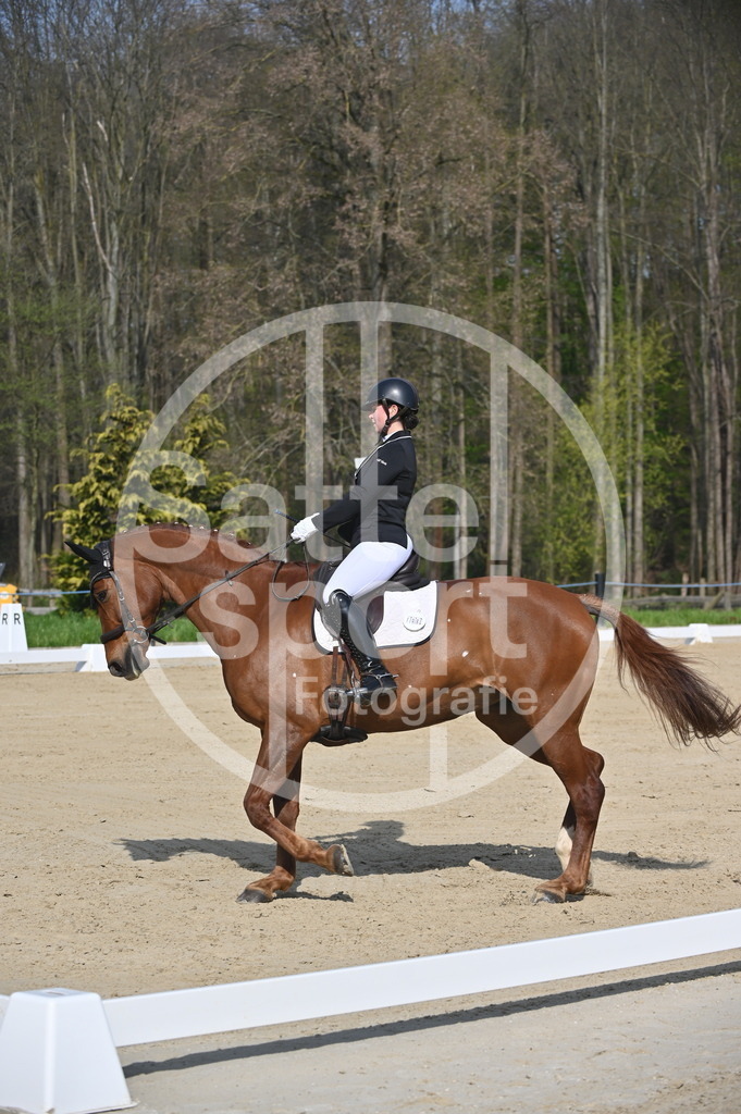 DSC_0458 | sattelsport - Realisiert mit Pictrs.com