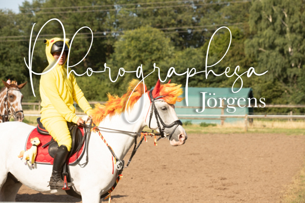 IMG_3494 | photographesa-joergens - Realisiert mit Pictrs.com