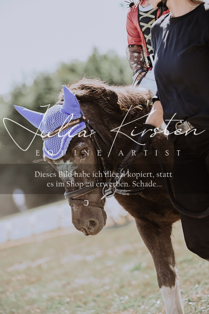 DSC_8839 | Pferde- und Turnierfotografie in Westsachsen. Pferdeportraits, Auftragszeichnungen und intuitive Kunst.