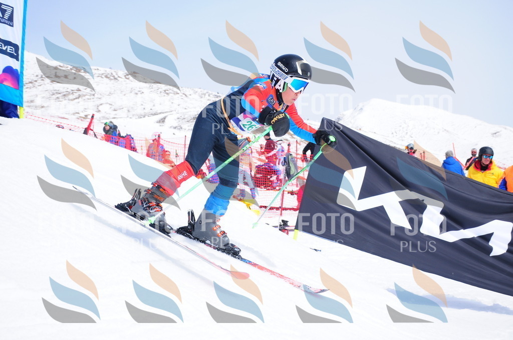 DSC_2488 | holidayphoto