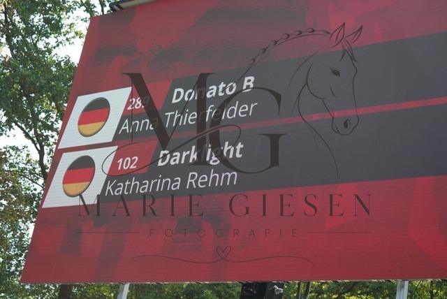 VAN00917 | Pferdefotografie in Köln und Umgebung – emotionale Pferdeshootings, Turnierfotografie und besondere Momente zwischen Pferd und Mensch. - Realisiert mit Pictrs.com