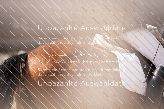 SD_OED_05255 | saradresslerfotografie - Realisiert mit Pictrs.com