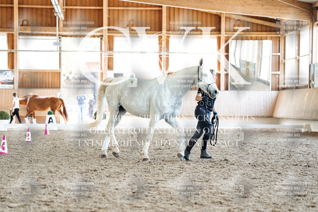 CK907711 | Turnierfotografie Pferdefotografie Trier Rheinland-Pfalz Pferdesport Reitsport Tierfotografie Sportfotografie Pferdevideo Pferdevideografie Equestrianvideography equestrianphotography  - Realisiert mit Pictrs.com
