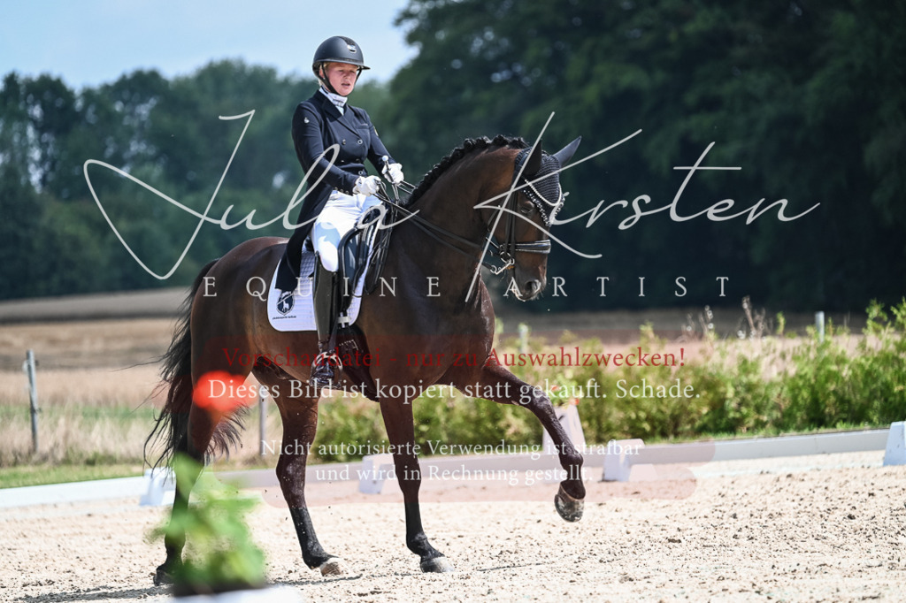 DSC_2333 | Pferde- und Turnierfotografie in Westsachsen. Pferdeportraits, Auftragszeichnungen und intuitive Kunst.