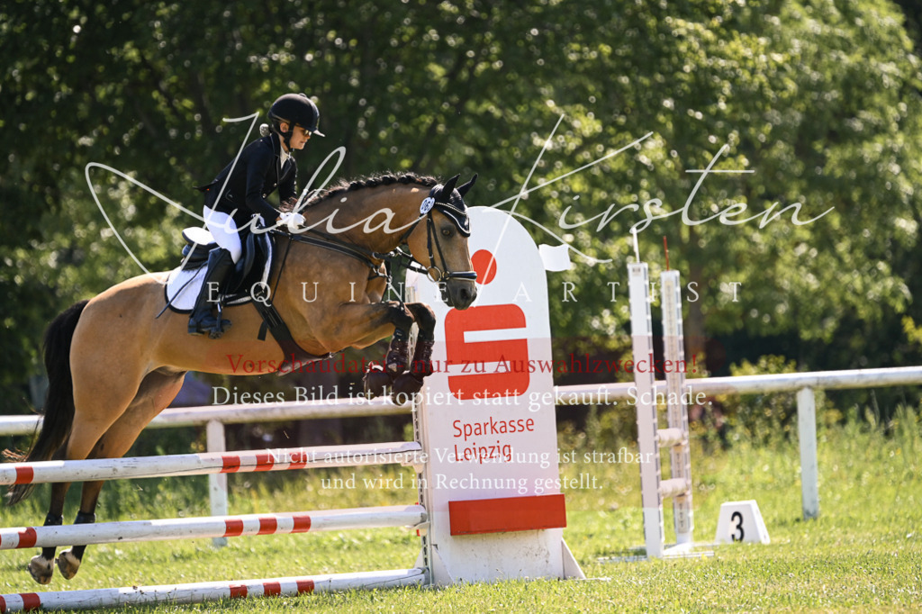 DSC_8804 | Pferde- und Turnierfotografie in Westsachsen. Pferdeportraits, Auftragszeichnungen und intuitive Kunst.