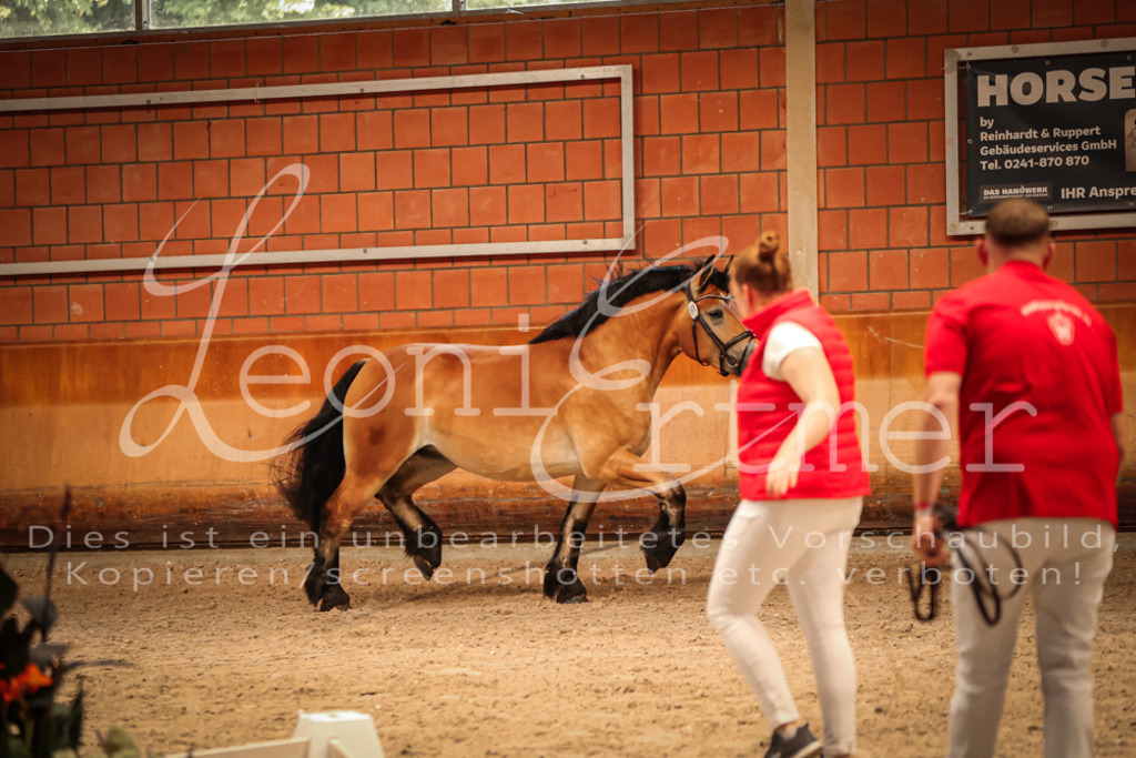 SaFL00187 | Leoni Ertmer Photography - Realisiert mit Pictrs.com