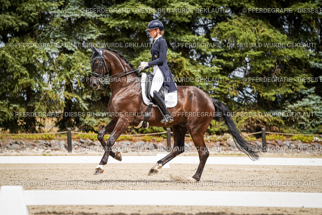 DSC06029 | Pferdegrafie