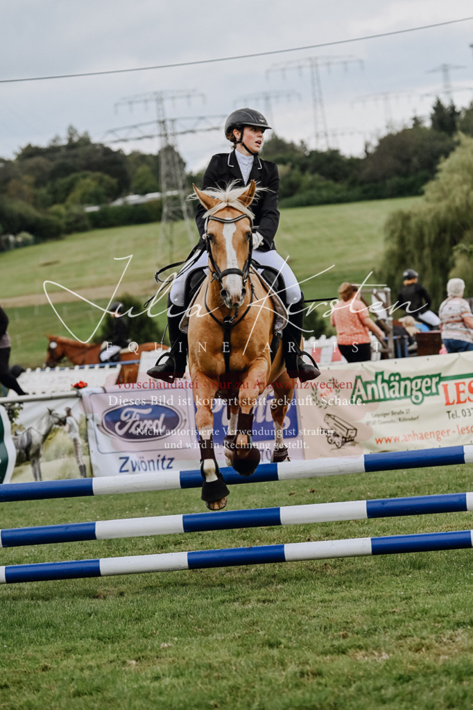 DSC_6888 | Pferde- und Turnierfotografie in Westsachsen. Pferdeportraits, Auftragszeichnungen und intuitive Kunst.