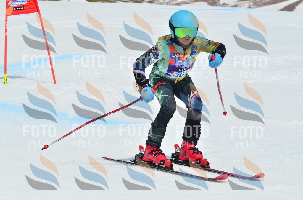 _ELE2876 | holidayphoto