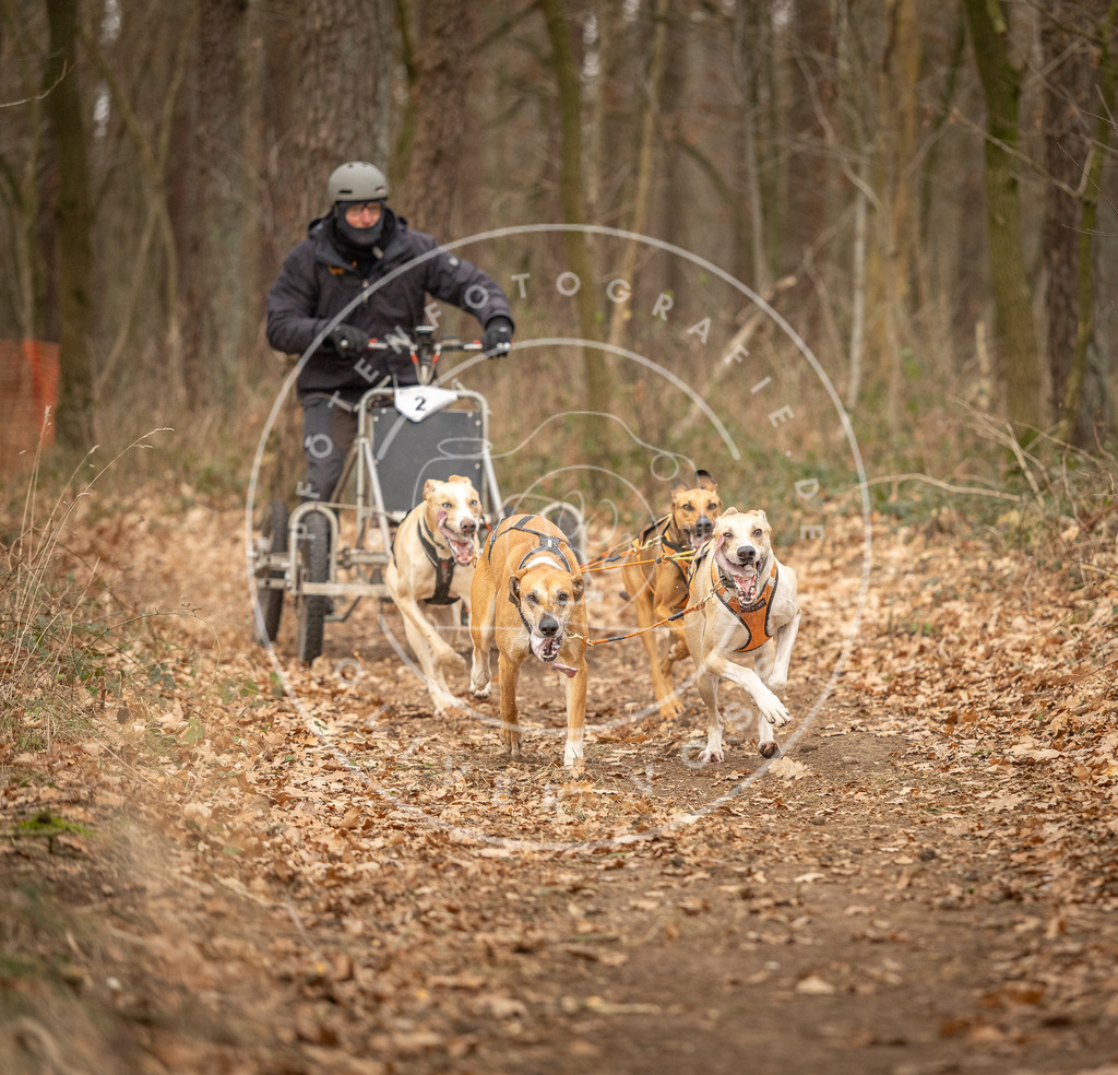 Pfotenfotografie_DV3A8649 | Hundefotografie, Tierfotograf, Pfotenfotografie, Fotoshooting Hund, Hunde Portrait, Hundesport, Hundeportraits, Heideshooting, Hunde, Sportfotograf, Hundefotograf, Turnierhundsport, THS,  - Realisiert mit Pictrs.com