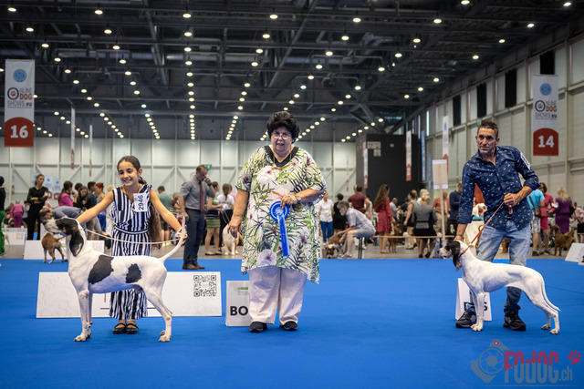 World Dog Show | World Dog Show 2023 im Palexpo in Genf 23.08.2023 Foto: Leo Wyden