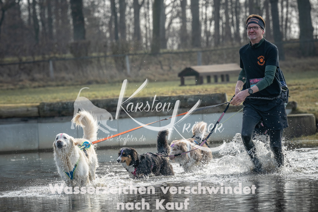 1000_ZZ95242 | kk-dogfotos